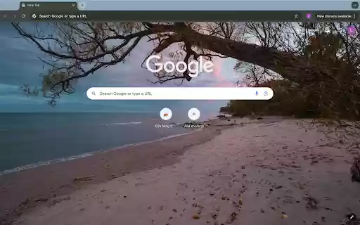fallen trees and the sea from Chrome web store to be run with OffiDocs Chromium online fallen trees and the sea from Chrome web store to be run with OffiDocs Chromium online