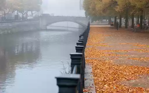 Falling leaves by the river  from Chrome web store to be run with OffiDocs Chromium online