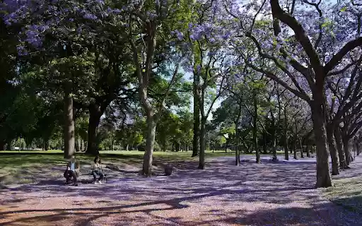 Falling purple flower park  from Chrome web store to be run with OffiDocs Chromium online