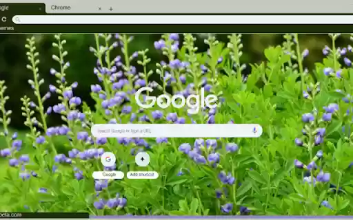 False Indigo  from Chrome web store to be run with OffiDocs Chromium online
