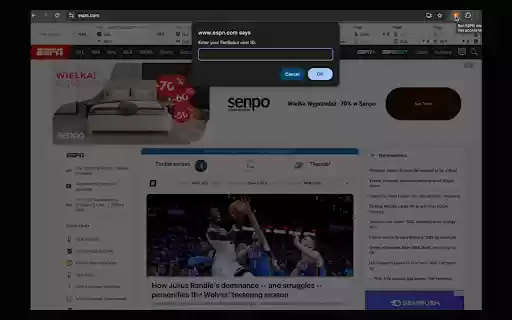 fanscout.pro espn league importer  from Chrome web store to be run with OffiDocs Chromium online
