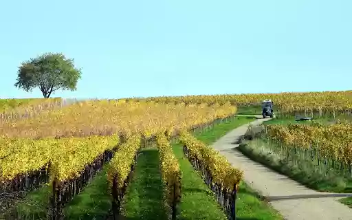 Farm change clothes  from Chrome web store to be run with OffiDocs Chromium online