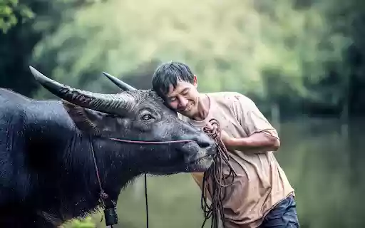 Farmers friend from Chrome web store to be run with OffiDocs Chromium online Farmers friend from Chrome web store to be run with OffiDocs Chromium online