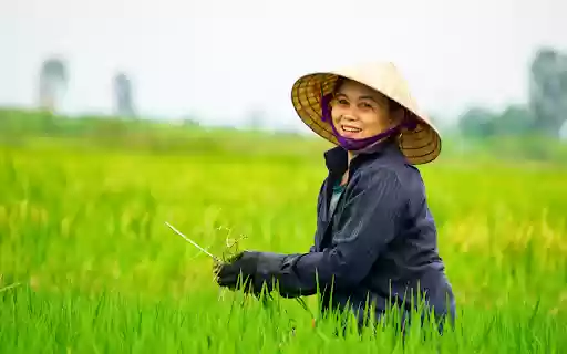 Farmers smile  from Chrome web store to be run with OffiDocs Chromium online