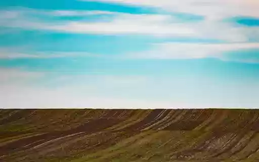 FARM LAND THEME  from Chrome web store to be run with OffiDocs Chromium online