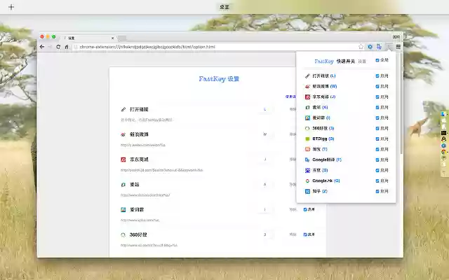 Chrome 网上商店的 FastKey 将与 OffiDocs Chromium 在线运行