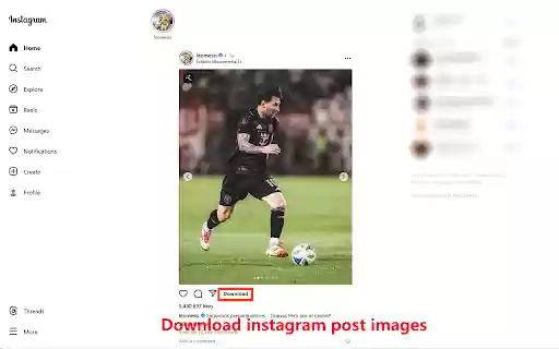 Fatkun Batch Download Image, Image Search  from Chrome web store to be run with OffiDocs Chromium online