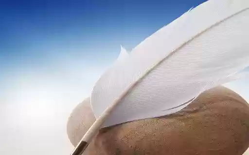 Feather By RB Themes  from Chrome web store to be run with OffiDocs Chromium online