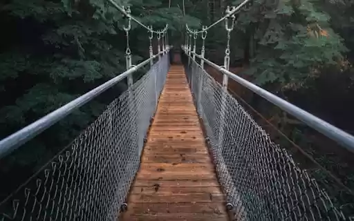 Features a suspension bridge that stretches from Chrome web store to be run with OffiDocs Chromium online Features a suspension bridge that stretches from Chrome web store to be run with OffiDocs Chromium online