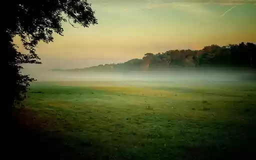 Field of grass and bones from Chrome web store to be run with OffiDocs Chromium online Field of grass and bones from Chrome web store to be run with OffiDocs Chromium online