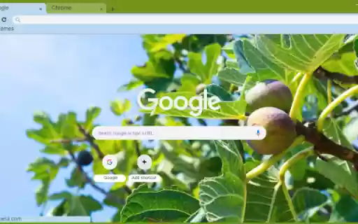 Fig Tree  from Chrome web store to be run with OffiDocs Chromium online