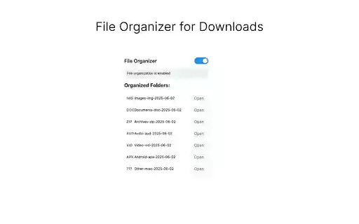 File Organizer for Downloads  from Chrome web store to be run with OffiDocs Chromium online