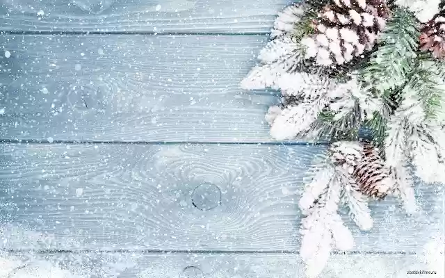 Fir Twig from Chrome web store to be run with OffiDocs Chromium online Fir Twig from Chrome web store to be run with OffiDocs Chromium online