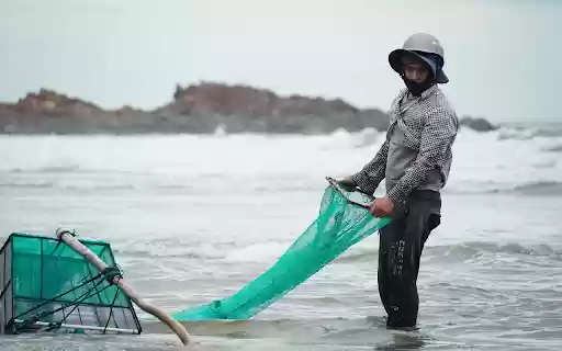 Fishermen and green nets  from Chrome web store to be run with OffiDocs Chromium online