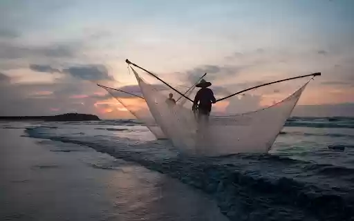 Fishermen scoop fish from Chrome web store to be run with OffiDocs Chromium online Fishermen scoop fish from Chrome web store to be run with OffiDocs Chromium online