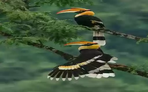 flamingo wallpaper  from Chrome web store to be run with OffiDocs Chromium online