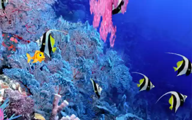 Flappy Fish from Chrome web store to be run with OffiDocs Chromium online Flappy Fish from Chrome web store to be run with OffiDocs Chromium online