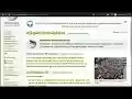 Flash Cardon  from Chrome web store to be run with OffiDocs Chromium online