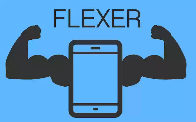 FLEXER  from Chrome web store to be run with OffiDocs Chromium online