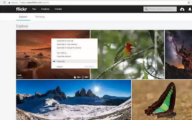 Flickr quick user info from Chrome web store to be run with OffiDocs Chromium online Flickr quick user info from Chrome web store to be run with OffiDocs Chromium online