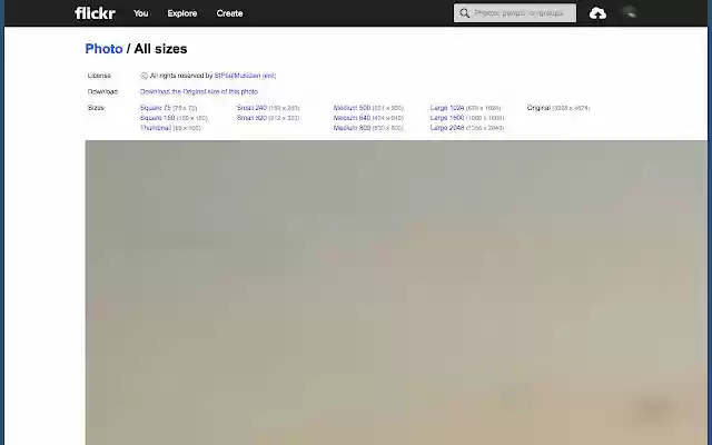 FlickrResize  from Chrome web store to be run with OffiDocs Chromium online