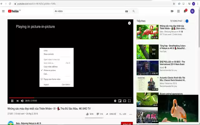 Floating Video Player  from Chrome web store to be run with OffiDocs Chromium online