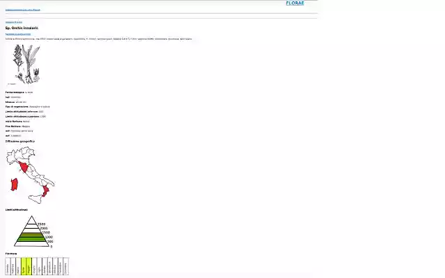 Florae  from Chrome web store to be run with OffiDocs Chromium online