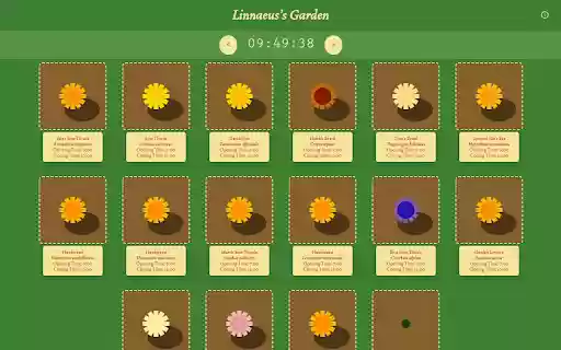 Floral Clock: A Living Timepiece  from Chrome web store to be run with OffiDocs Chromium online