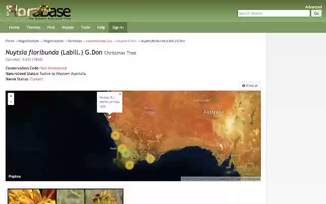 FloriBunda from Chrome web store to be run with OffiDocs Chromium online FloriBunda from Chrome web store to be run with OffiDocs Chromium online