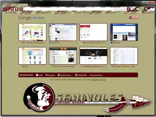 Florida State Seminoles Large from Chrome web store to be run with OffiDocs Chromium online Florida State Seminoles Large from Chrome web store to be run with OffiDocs Chromium online