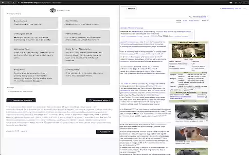 FlowChai  from Chrome web store to be run with OffiDocs Chromium online