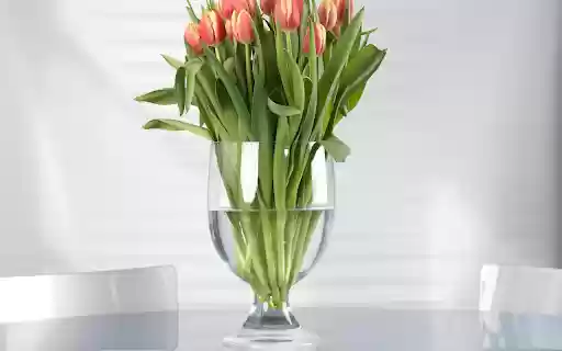 Flower cup  from Chrome web store to be run with OffiDocs Chromium online