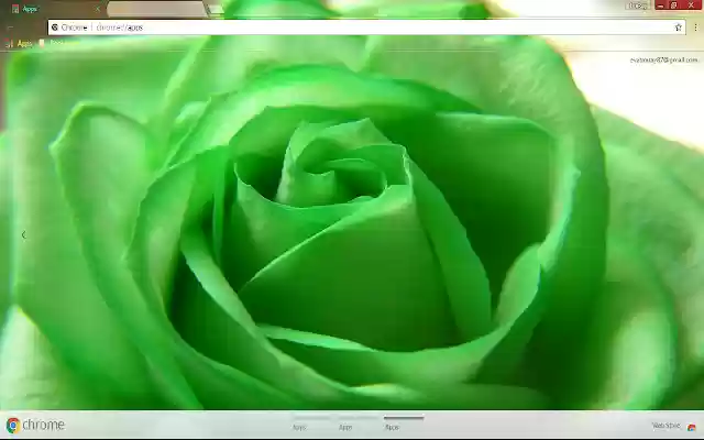 Flower Green Pastel Rose from Chrome web store to be run with OffiDocs Chromium online Flower Green Pastel Rose from Chrome web store to be run with OffiDocs Chromium online