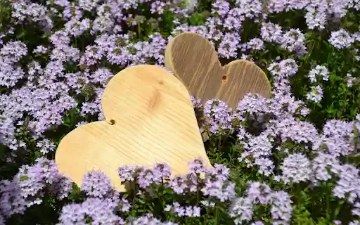 Flowers and hearts  from Chrome web store to be run with OffiDocs Chromium online