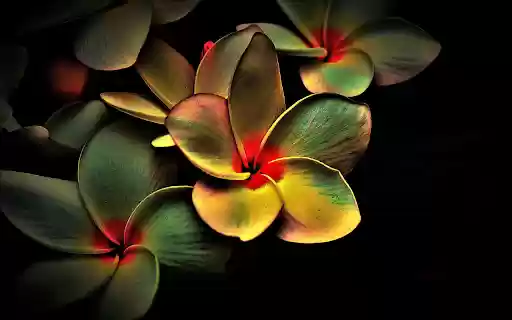 Flowers bloom brightly  from Chrome web store to be run with OffiDocs Chromium online