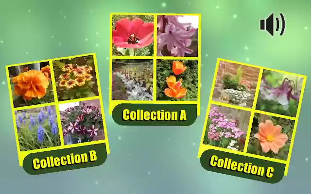 Flower Shuffle  from Chrome web store to be run with OffiDocs Chromium online