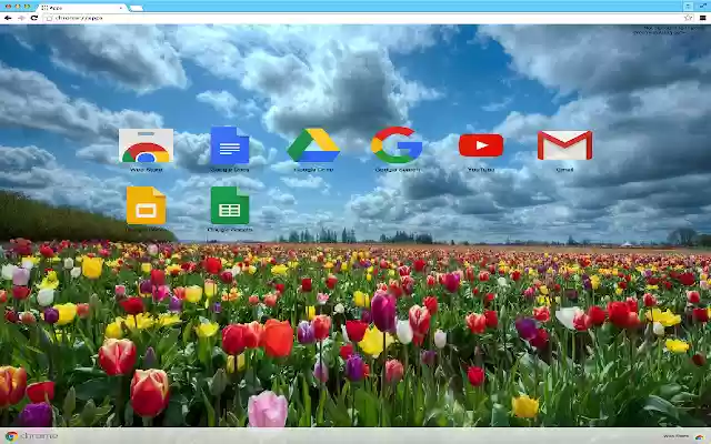 FLOWERS THEME from Chrome web store to be run with OffiDocs Chromium online FLOWERS THEME from Chrome web store to be run with OffiDocs Chromium online