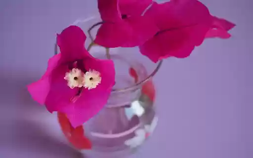 Flowers within flowers  from Chrome web store to be run with OffiDocs Chromium online