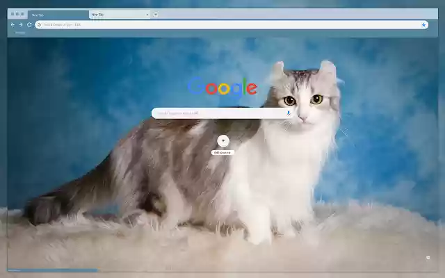 Fluffy beautiful cat  from Chrome web store to be run with OffiDocs Chromium online