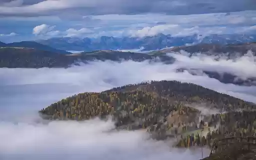 Nebliger Bergwald aus dem Chrome Web Store kann mit OffiDocs Chromium online ausgeführt werden