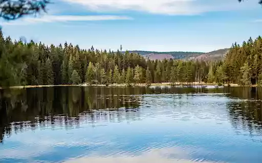 Forest and lake  from Chrome web store to be run with OffiDocs Chromium online