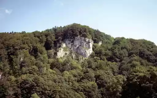 Forest and Rocky Mountains  from Chrome web store to be run with OffiDocs Chromium online