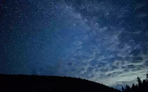 Forest and thousands of stars from Chrome web store to be run with OffiDocs Chromium online Forest and thousands of stars from Chrome web store to be run with OffiDocs Chromium online