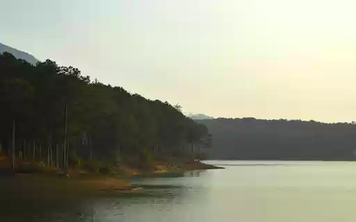 Forest by the lake  from Chrome web store to be run with OffiDocs Chromium online