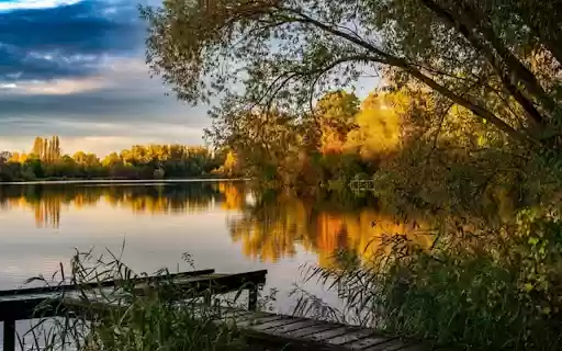 FOREST LEAF LAKE Theme  from Chrome web store to be run with OffiDocs Chromium online