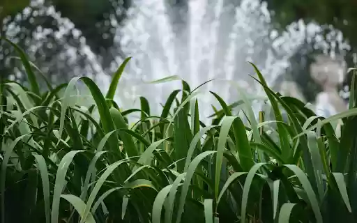 Fountain among the trees from Chrome web store to be run with OffiDocs Chromium online Fountain among the trees from Chrome web store to be run with OffiDocs Chromium online