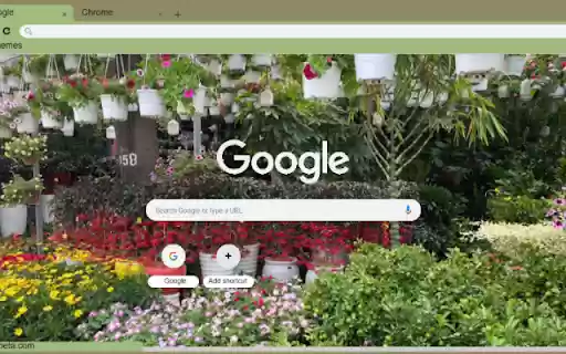Foxface  from Chrome web store to be run with OffiDocs Chromium online
