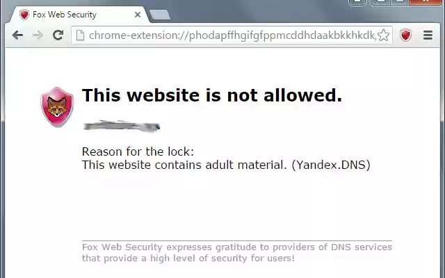 Fox Web Security  from Chrome web store to be run with OffiDocs Chromium online