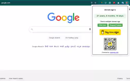Free domain age checker | Website Age Checker  from Chrome web store to be run with OffiDocs Chromium online