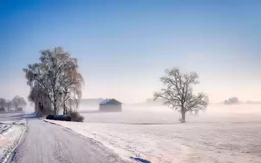 Frosty Morning Silence from Chrome web store to be run with OffiDocs Chromium online Frosty Morning Silence from Chrome web store to be run with OffiDocs Chromium online